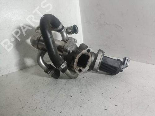 Egr FIAT GRANDE PUNTO (199_) 1.3 D Multijet (199.AXD11, 199.AXD1A, 199.AXD1B,... | BP15774411M69
