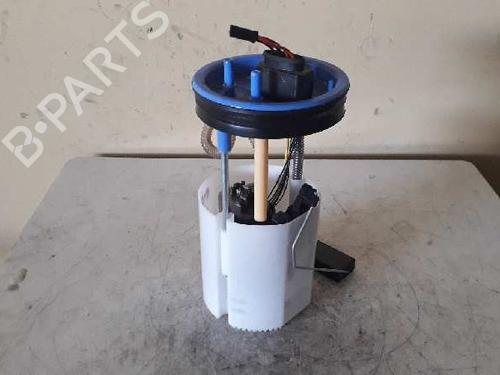 Fuel pump SEAT IBIZA IV (6J5, 6P1)  | BP3133650M76 