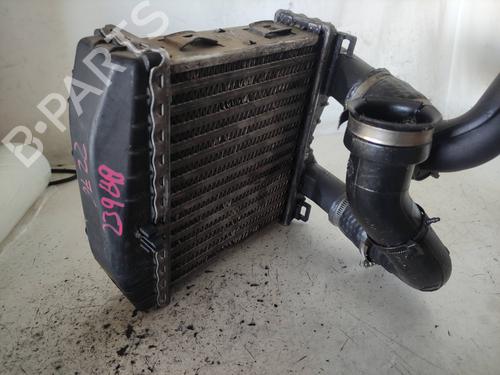 Intercooler SMART CABRIO (450) 0.6 (S1OLD2, 450.452) | BP5417681M30 