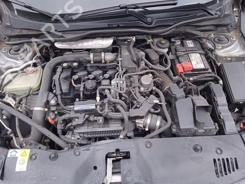 Tailgate lift support HONDA CIVIC X Hatchback (FC_, FK_) 1.0 VTEC | BP29750254C138 