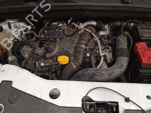 - Image 8