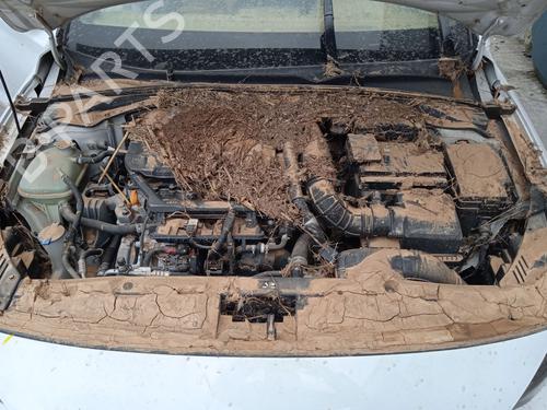 Left front driveshaft HYUNDAI i30 (PDE, PD, PDEN)  | BP22729625M38 