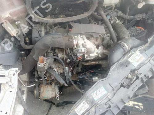 - Image 19