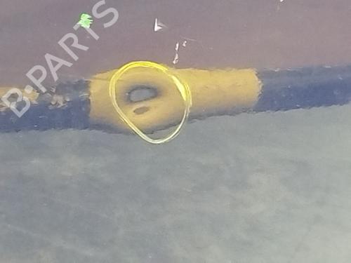 Left front door NISSAN MICRA III (K12) 1.2 16V | BP31015202C2 