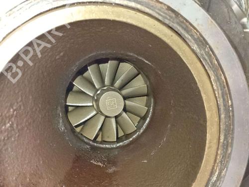 Engine VW POLO VI (AW1, BZ1, AE1) 1.0 TSI | BP38437443M1  - Image 8
