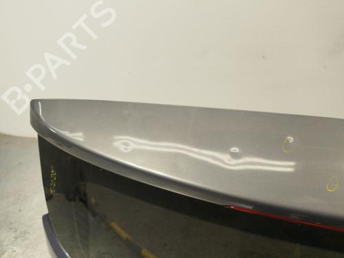 Tailgate NISSAN QASHQAI / QASHQAI +2 I (J10, NJ10, JJ10E) 2.0 dCi | BP28114405C6 