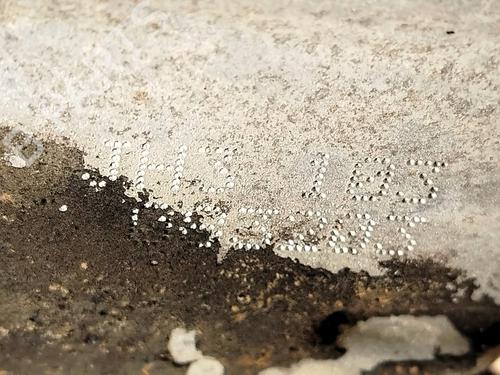 Gearbox NISSAN MICRA III (K12) 1.2 16V | BP31092323M3 