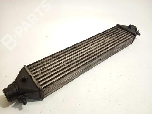 Intercooler OPEL COMBO Box Body/MPV (X12) 1.3 CDTI (B05) | BP7756700M30 