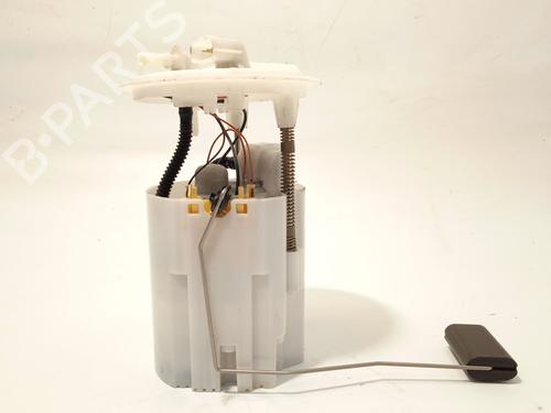 Kraftstoffpumpe RENAULT GRAND SCÉNIC III (JZ0/1_)  | BP25617375M76 