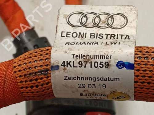 Electronic module AUDI E-TRON (GEN) 50 quattro | BP31338229M83 