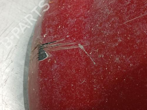 Front bumper RENAULT SCÉNIC II (JM0/1_) 1.9 dCi (JM0G, JM12, JM1G, JM2C) | BP30836203C7 