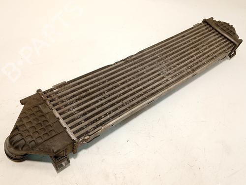 Intercooler FORD S-MAX (WA6) 2.0 TDCi | BP30615543M30