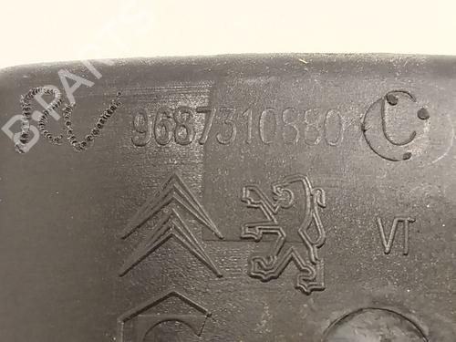 Fuel flap CITROËN C4 II (NC_) 1.6 BlueHDi 120 | BP28111798C131
