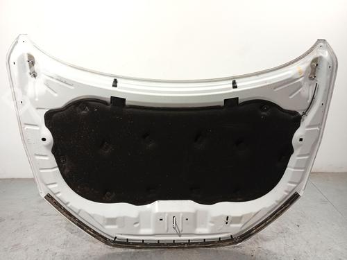 Hood FORD KUGA III (DFK)  | BP32019619C1 