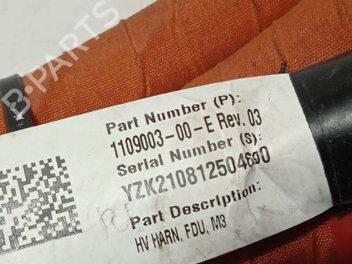 Electronic module TESLA MODEL 3 (5YJ3)  | BP17570892M83 