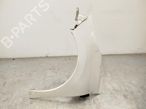 Left front fenders PEUGEOT 207 (WA_, WC_) 1.6 HDi | BP30129748C41