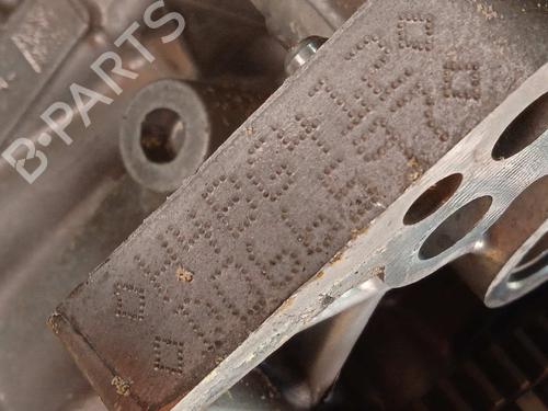 Engine DACIA SANDERO II | BP17091159M1