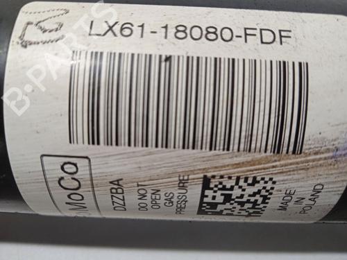 Left rear shock absorber FORD KUGA III (DFK) 2.5 FHEV | BP21065308M18 