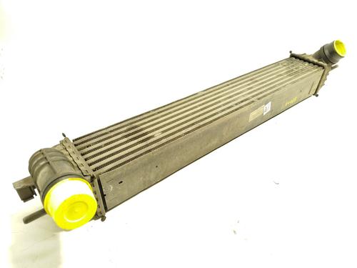 Used Intercooler RENAULT LAGUNA III (BT0/1) 2.0 dCi (BT01, BT08, BT09, BT0E, BT0K, BT12, BT1C, BT1D,... (150 hp) 30485904