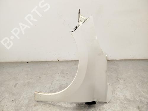 Used Left front fenders PEUGEOT 207 (WA_, WC_) 1.6 HDi (90 hp) 30129748