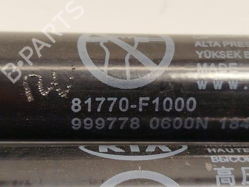 Tailgate lift support KIA SPORTAGE IV (QL, QLE) 1.6 CRDi Eco-Dynamics+ | BP26900147C138 