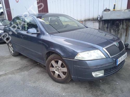 Right front door SKODA OCTAVIA II (1Z3)  | BP15184784C3 