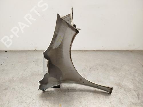 Left front fenders PEUGEOT 207 (WA_, WC_) 1.6 HDi | BP30129748C41