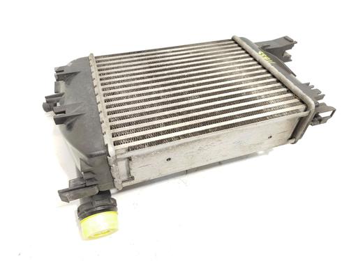 Intercooler DACIA DOKKER MPV (KE_) 1.5 dCi / Blue dCi 75 (KEAJ, KEAH, KEJW) | BP27258893M30 - Image 3