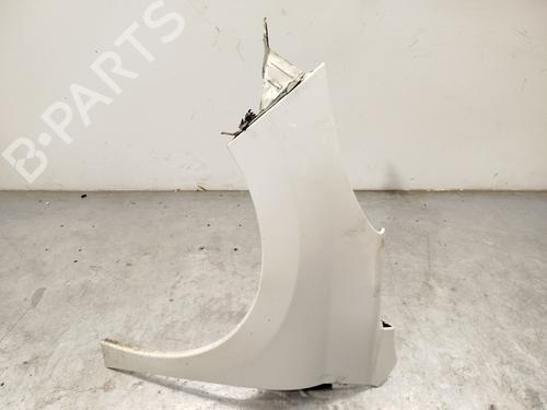 Left front fenders PEUGEOT 207 (WA_, WC_) 1.6 HDi | BP30129748C41
