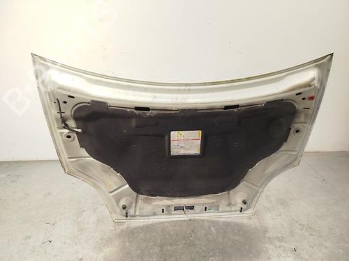 Hood FIAT BRAVO II (198_)  | BP23338480C1