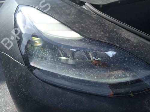 Hinge/Door check strap TESLA MODEL 3 (5YJ3) EV AWD | BP19304976C146 