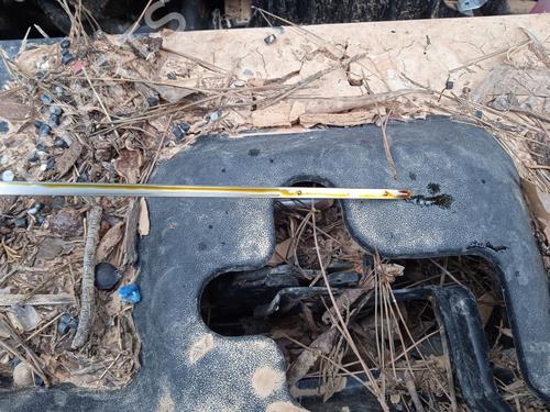 Left tailgate light TOYOTA C-HR (_X1_) 1.8 Hybrid (ZYX10_, ZYX11_, ZYX10R, ZYX11R) | BP24538062C79