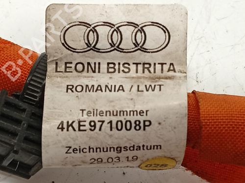 Electronic module AUDI E-TRON (GEN) 50 quattro | BP31338235M83 