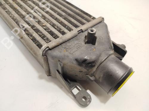 Intercooler FIAT BRAVO II (198_) 1.9 D Multijet (198AXB1A) | BP23498276M30 