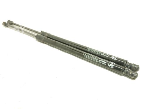 Tailgate lift support HYUNDAI SANTA FÉ III (DM, DMA) 2.2 CRDi | BP29325032C138 