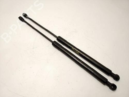 Used Tailgate lift support DACIA SANDERO II 1.5 dCi (90 hp) 14346867