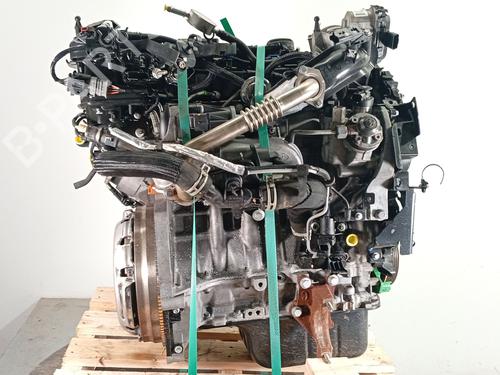 Used Engine FORD FIESTA VI (CB1, CCN) 1.5 TDCi (75 hp) 32207026