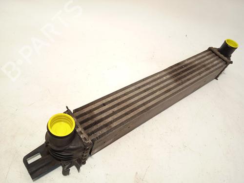 intercooler-citroen-nemo-mpv-2009-23337144 main image