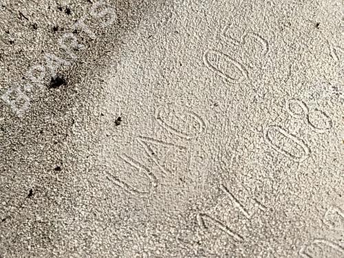 Gearbox VW GOLF VII (5G1, BQ1, BE1, BE2) 1.5 TSI | BP26208977M3 