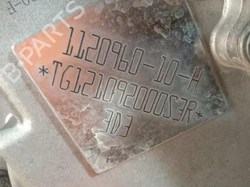 Engine TESLA MODEL 3 (5YJ3)  | BP17570824M1 