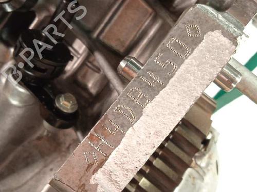 Engine DACIA SANDERO II  | BP13325969M1 