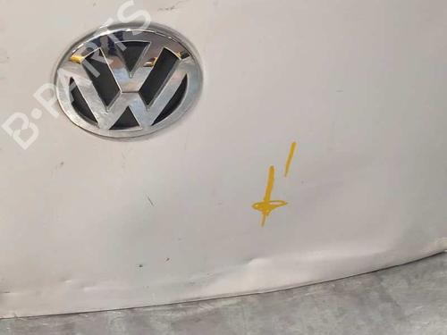 Right rear door VW CADDY III MPV (2KB, 2KJ, 2CB, 2CJ)  | BP10865243C5