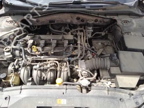 - Image 19