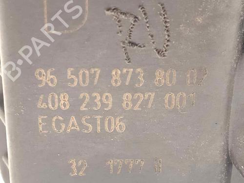 Throttle body CITROËN C4 Picasso I MPV (UD_) 2.0 i 16V | BP16676393M82 