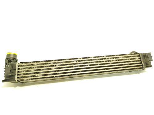 Intercooler RENAULT MEGANE III Hatchback (BZ0/1_, B3_)  | BP30153396M30 