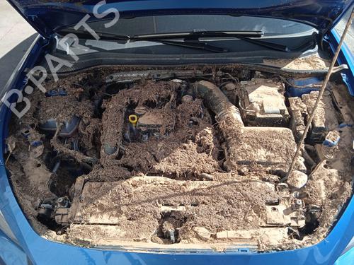 Right front steering knuckle SEAT LEON (KL1, KLG) 1.0 TSI | BP29604492M26 