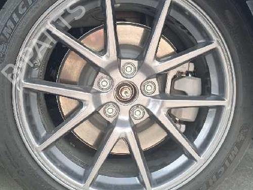 Hinge/Door check strap TESLA MODEL 3 (5YJ3) EV AWD | BP19304976C146 