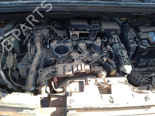 Starter FIAT DOBLO Box Body/MPV (510_, 511_) BlueHDi 100 | BP28673835M8 