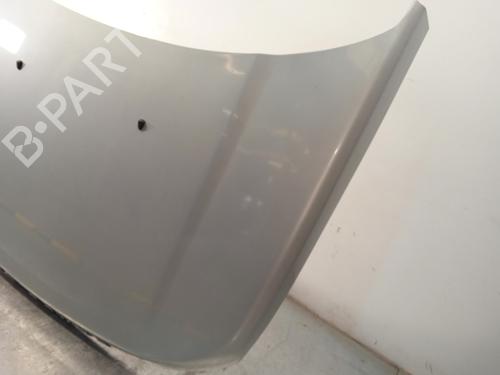 Hood LAND ROVER DISCOVERY III (L319)  | BP20292937C1 