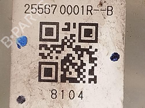 Steering column stalk RENAULT LAGUNA III (BT0/1) 2.0 dCi (BT01, BT08, BT09, BT0E, BT0K, BT12, BT1C, BT1D,... | BP30485905I23 